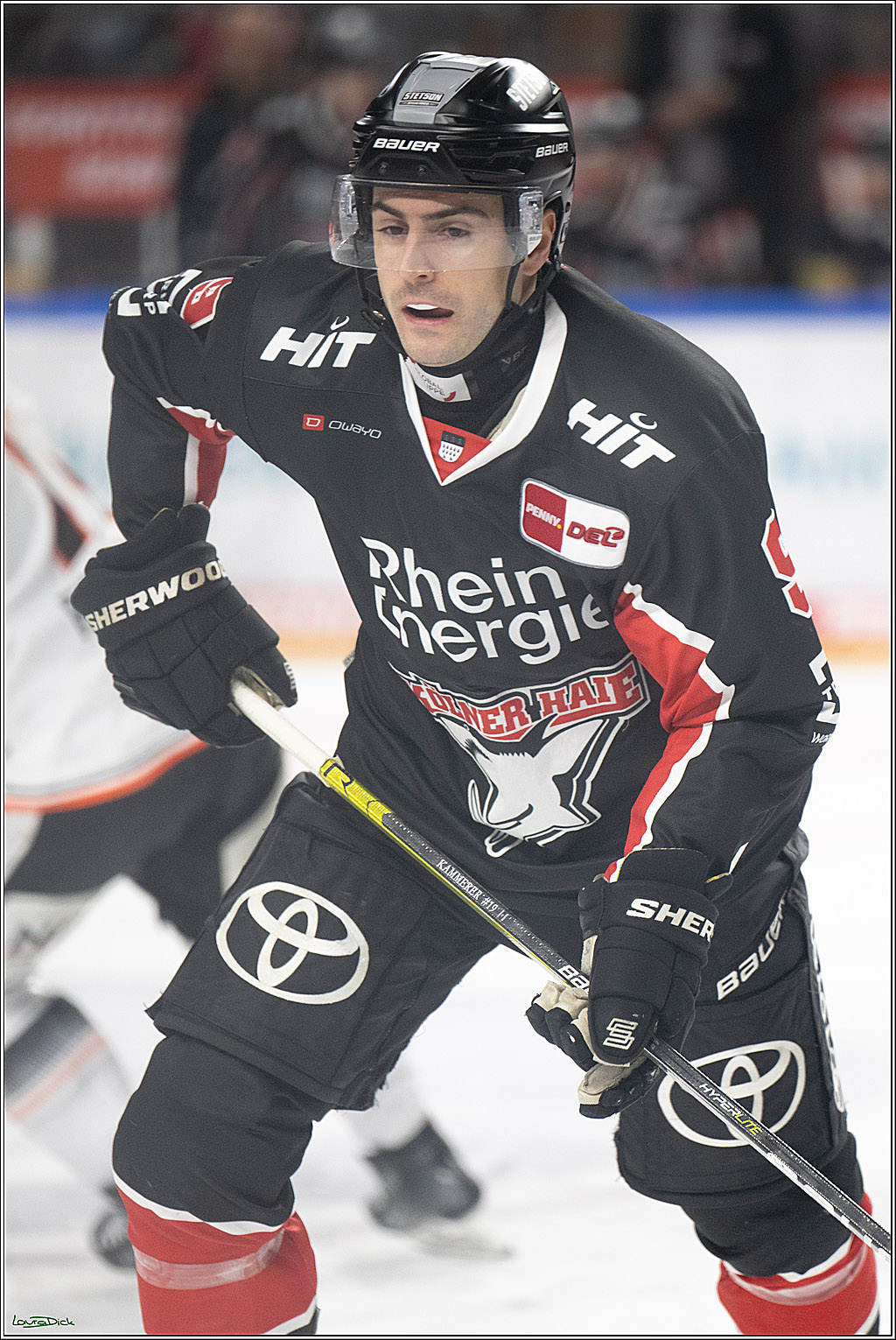 PENNY DEL; Koelner Haie- Loewen Frankfurt; Koeln, 30.12.2024