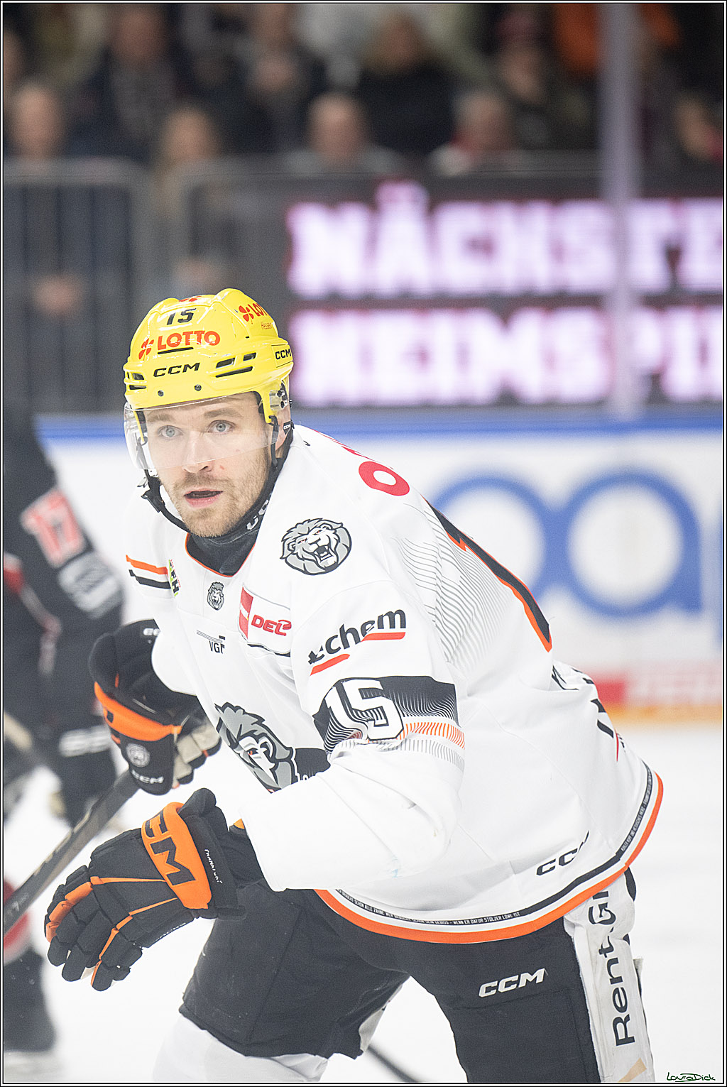 PENNY DEL; Koelner Haie- Loewen Frankfurt; Koeln, 30.12.2024