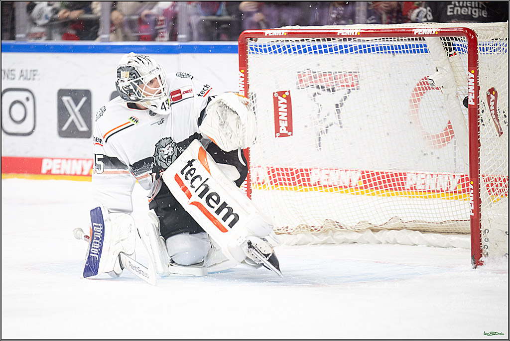 PENNY DEL; Koelner Haie- Loewen Frankfurt; Koeln, 30.12.2024