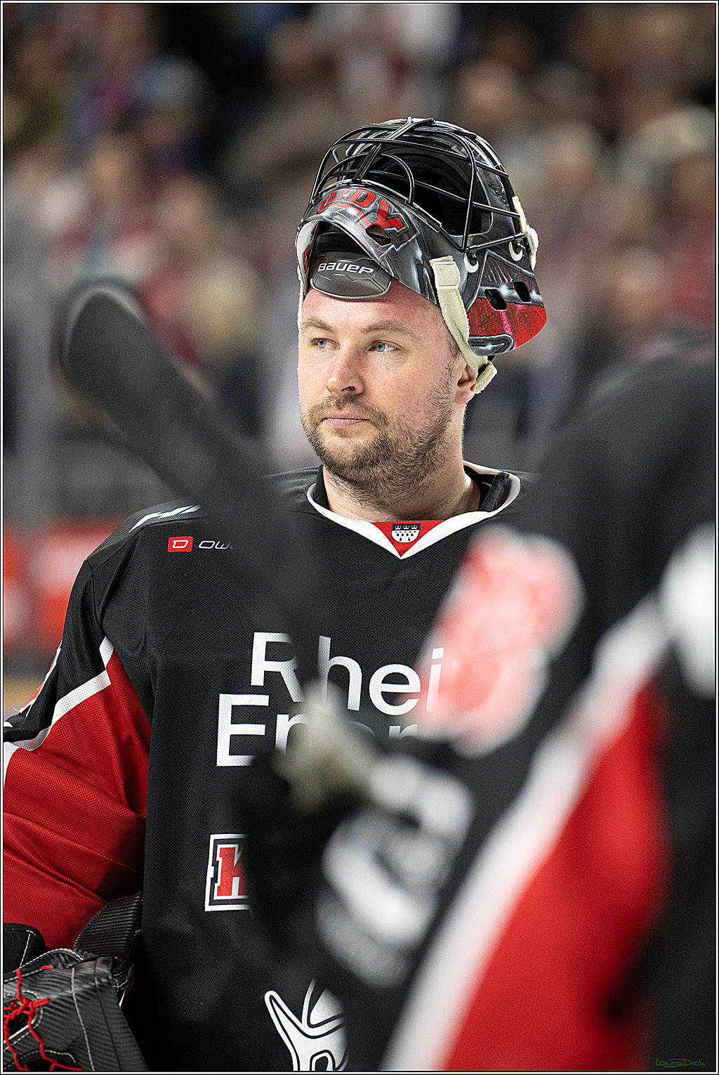 PENNY DEL; Koelner Haie- Loewen Frankfurt; Koeln, 30.12.2024