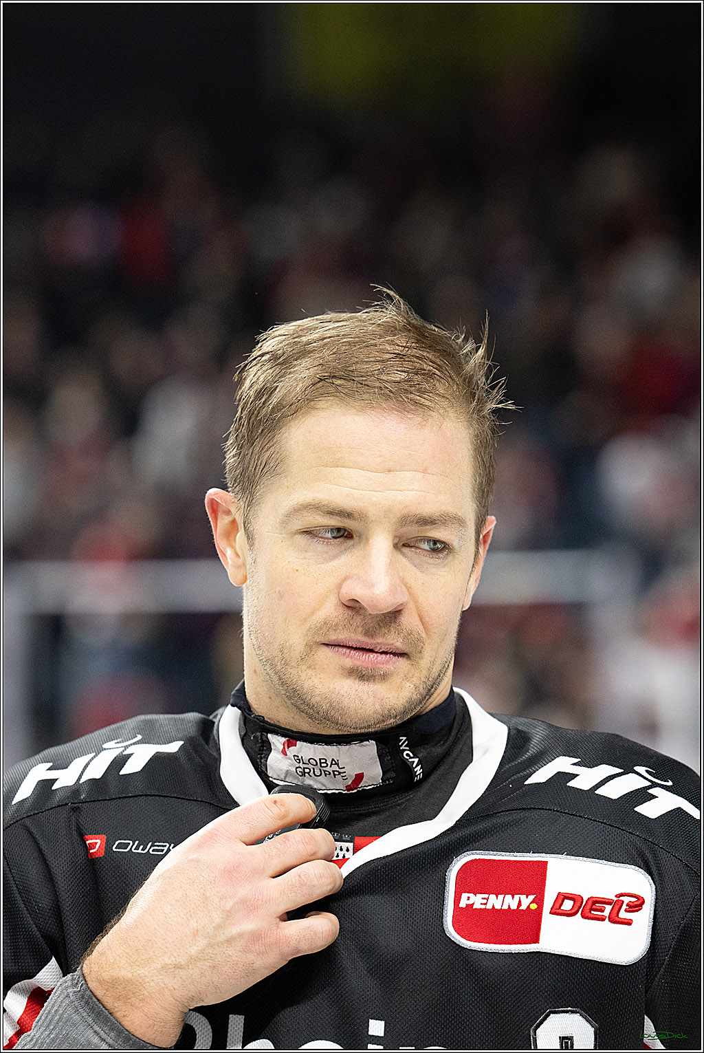 PENNY DEL; Koelner Haie- Loewen Frankfurt; Koeln, 30.12.2024