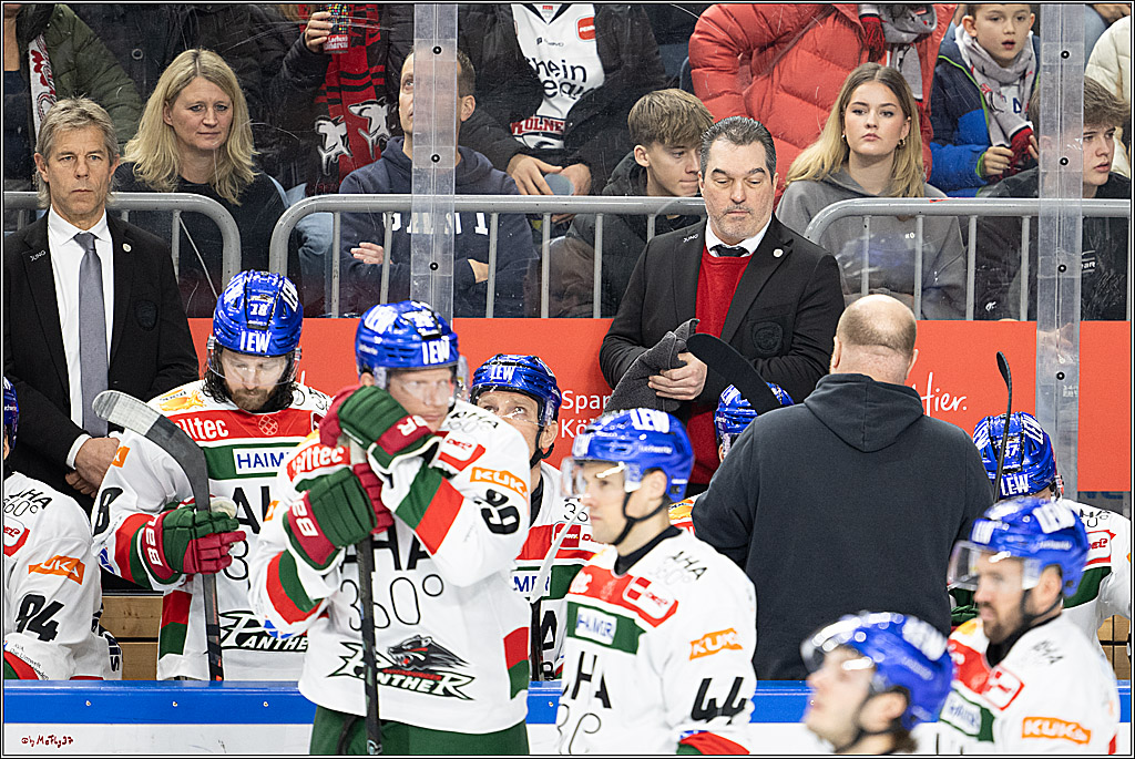 PENNY DEL 1; Kölner Haie - Augsburger Panther; Köln, 05.01.2025