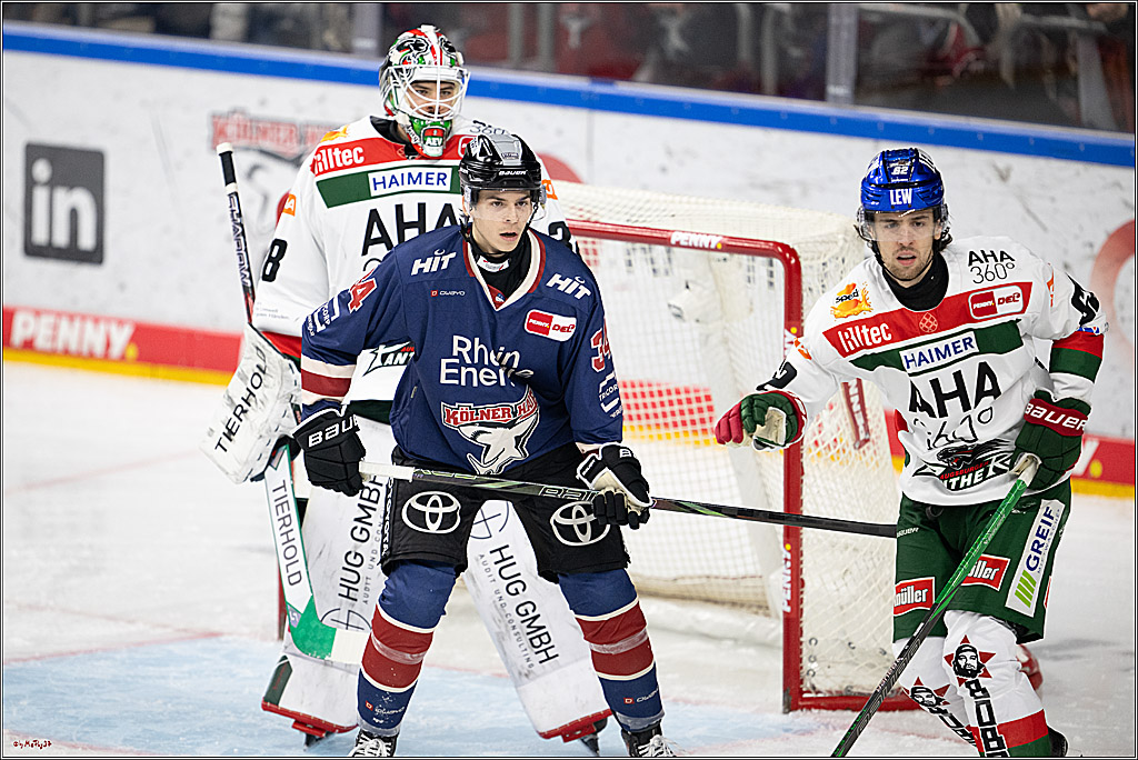 PENNY DEL 1; Kölner Haie - Augsburger Panther; Köln, 05.01.2025