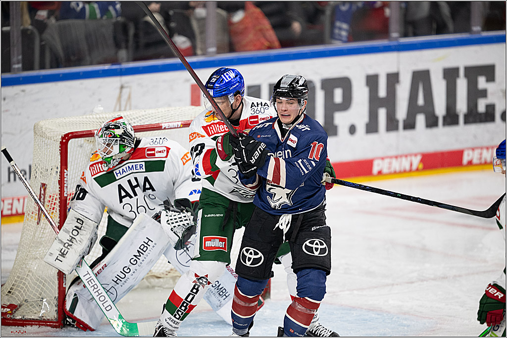 PENNY DEL 1; Kölner Haie - Augsburger Panther; Köln, 05.01.2025