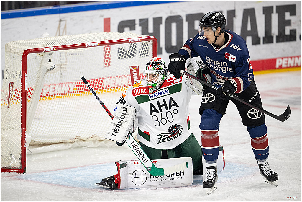 PENNY DEL 1; Kölner Haie - Augsburger Panther; Köln, 05.01.2025