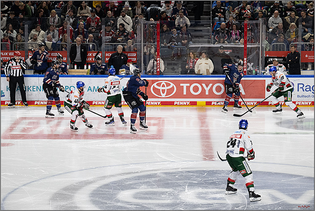 PENNY DEL 1; Kölner Haie - Augsburger Panther; Köln, 05.01.2025