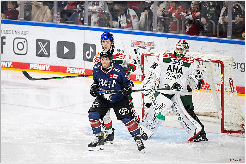 PENNY DEL 1; Kölner Haie - Augsburger Panther; Köln, 05.01.2025