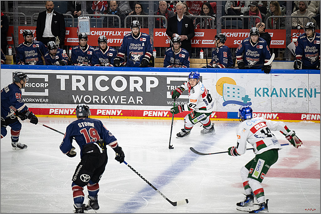 PENNY DEL 1; Kölner Haie - Augsburger Panther; Köln, 05.01.2025