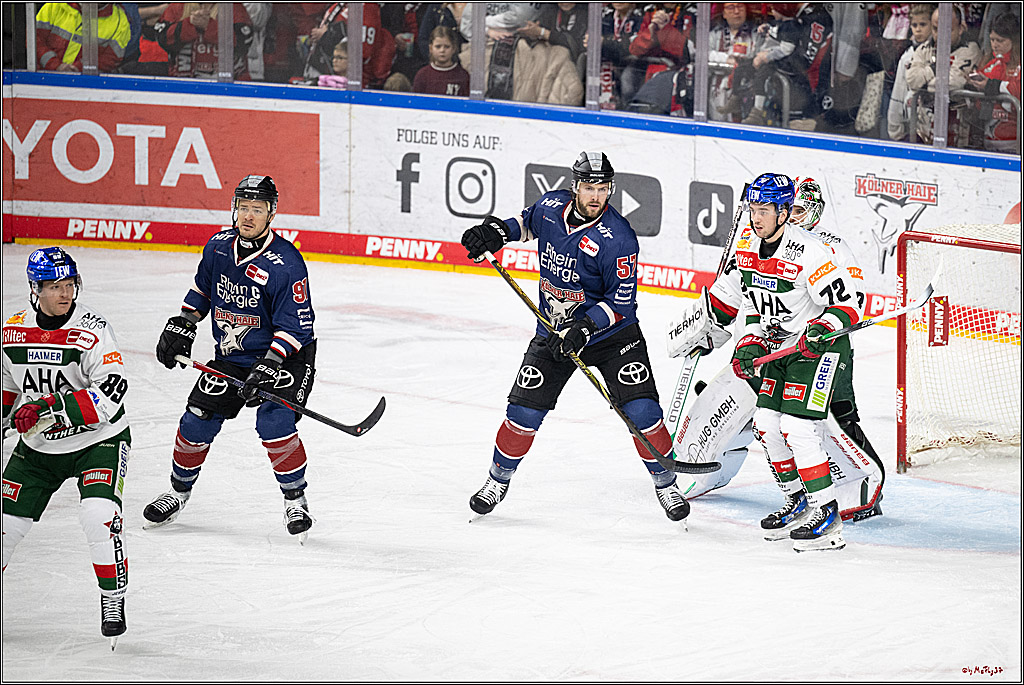 PENNY DEL 1; Kölner Haie - Augsburger Panther; Köln, 05.01.2025
