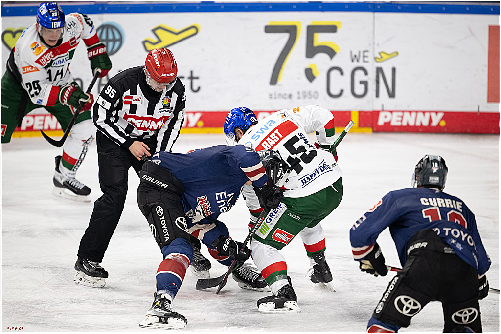PENNY DEL 1; Kölner Haie - Augsburger Panther; Köln, 05.01.2025