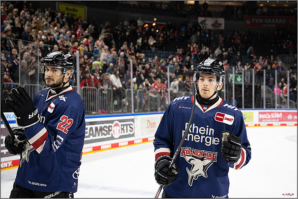 PENNY DEL 1; Kölner Haie - Augsburger Panther; Köln, 05.01.2025