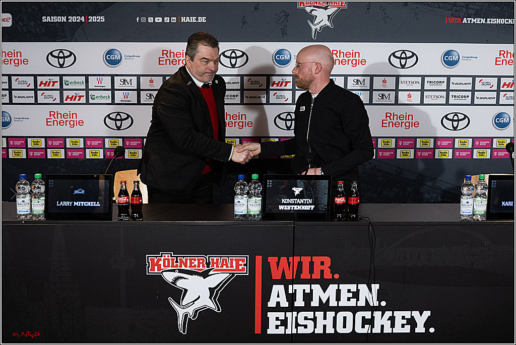 PENNY DEL 1; Kölner Haie - Augsburger Panther; Köln, 05.01.2025