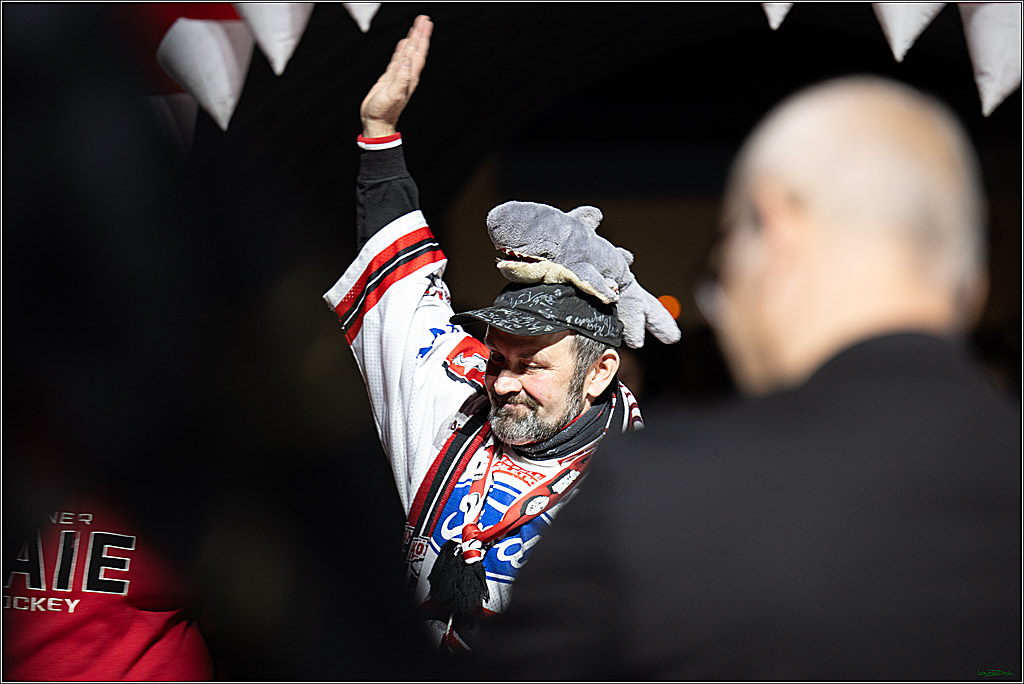 PENNY DEL; Koelner Haie- Augsburger Panther; Koeln, 05.01.2025