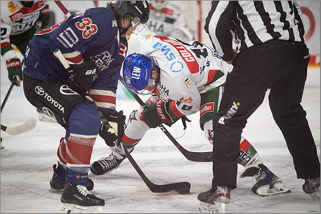 PENNY DEL; Koelner Haie- Augsburger Panther; Koeln, 05.01.2025