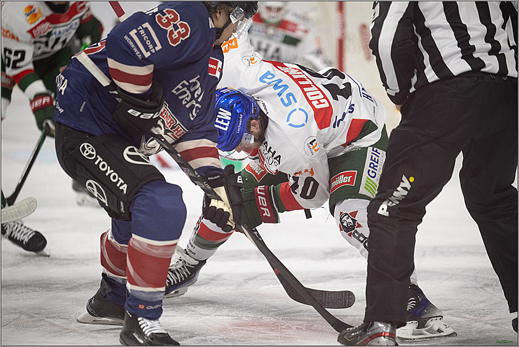 PENNY DEL; Koelner Haie- Augsburger Panther; Koeln, 05.01.2025