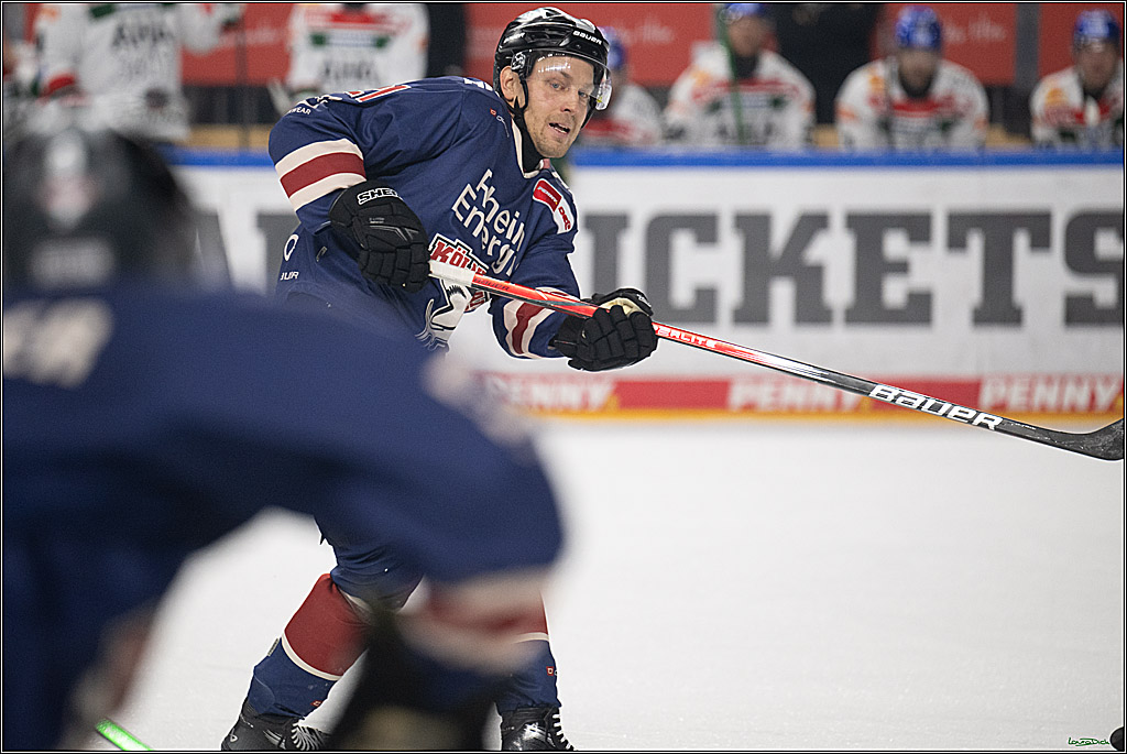 PENNY DEL; Koelner Haie- Augsburger Panther; Koeln, 05.01.2025