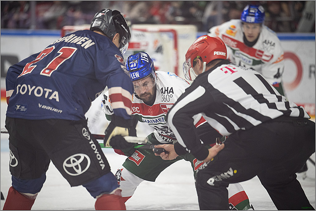 PENNY DEL; Koelner Haie- Augsburger Panther; Koeln, 05.01.2025