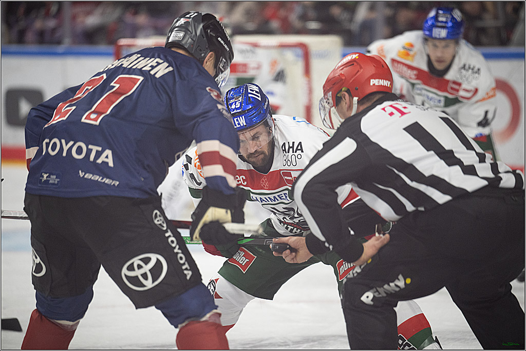 PENNY DEL; Koelner Haie- Augsburger Panther; Koeln, 05.01.2025