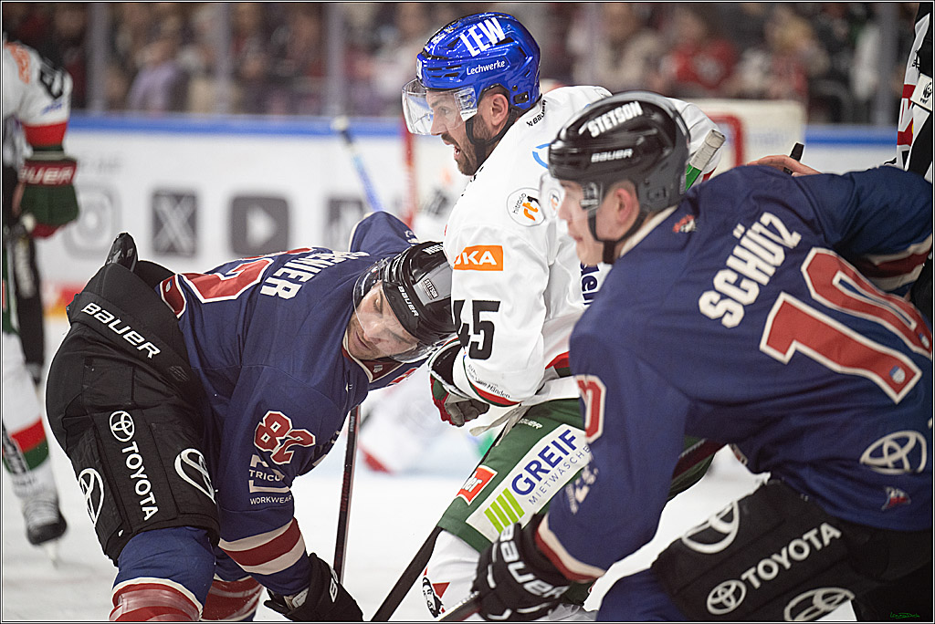 PENNY DEL; Koelner Haie- Augsburger Panther; Koeln, 05.01.2025