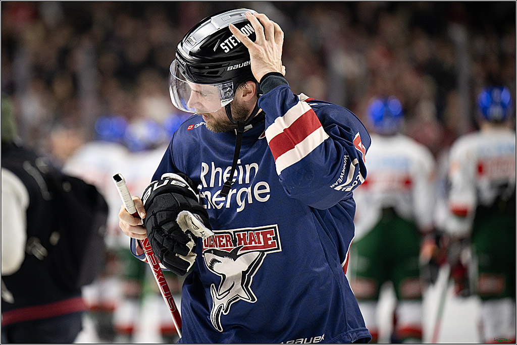 PENNY DEL; Koelner Haie- Augsburger Panther; Koeln, 05.01.2025