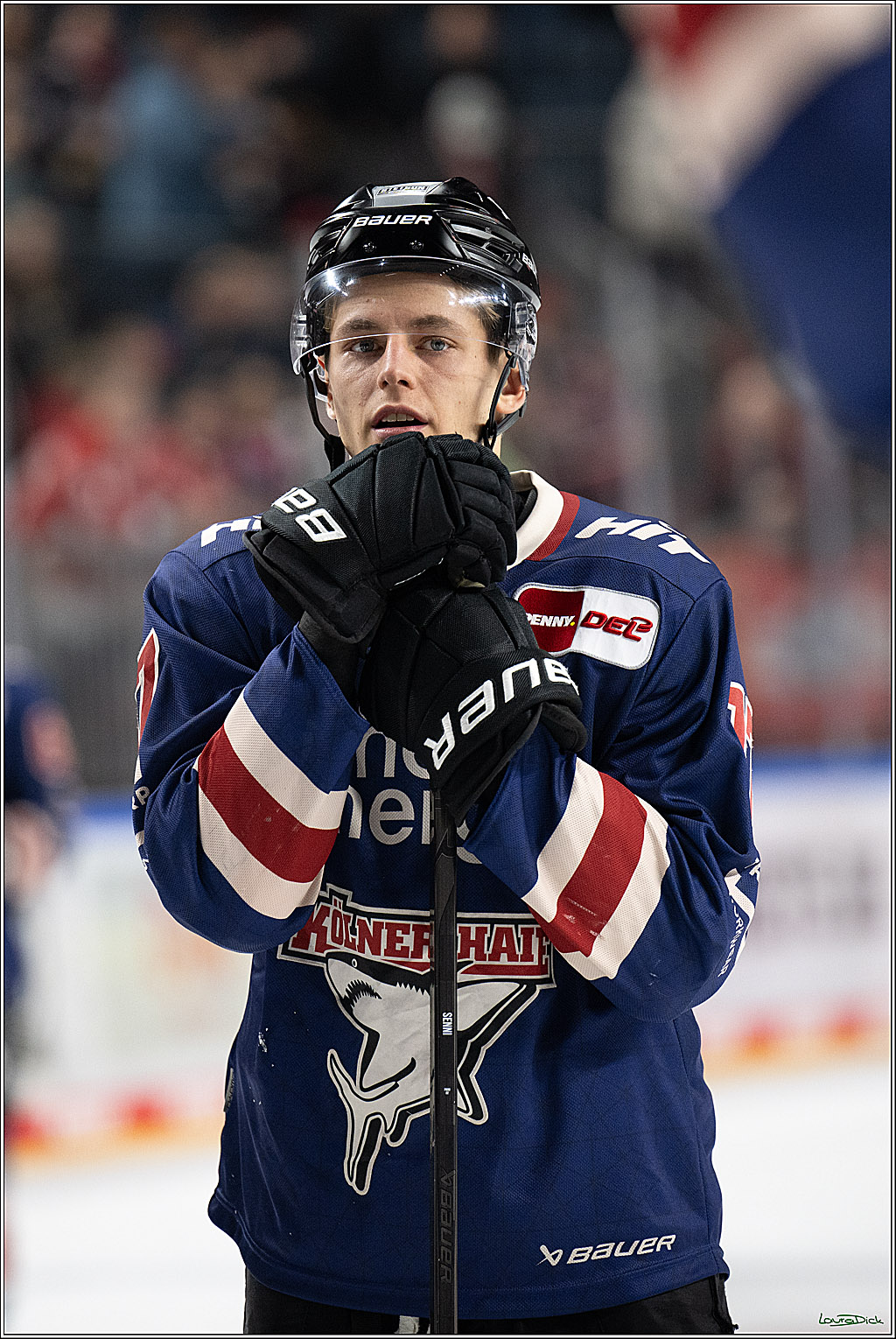 PENNY DEL; Koelner Haie- Augsburger Panther; Koeln, 05.01.2025