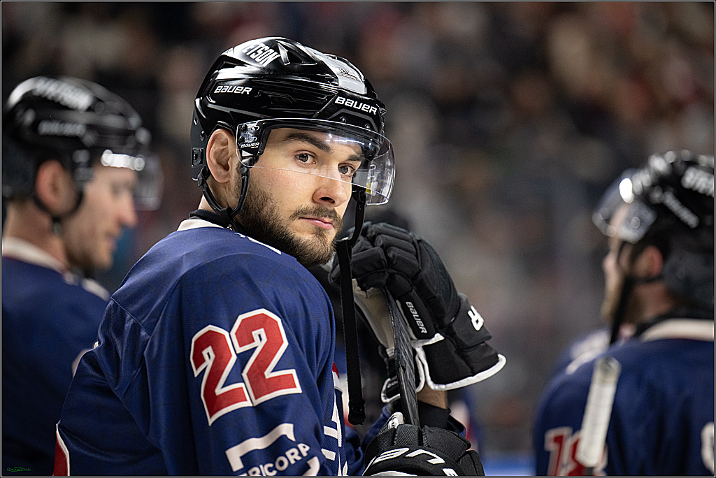 PENNY DEL; Koelner Haie- Augsburger Panther; Koeln, 05.01.2025
