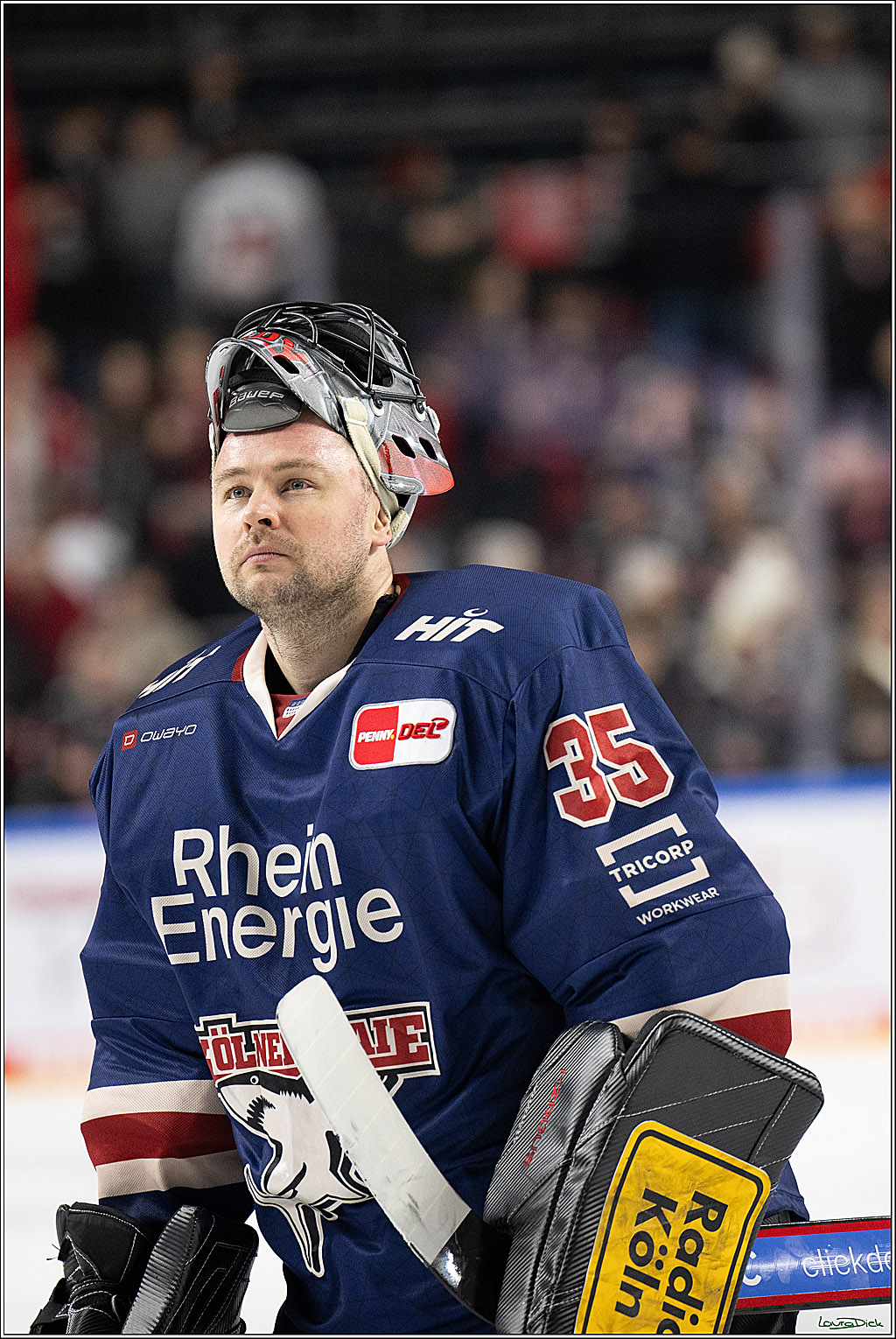PENNY DEL; Koelner Haie- Augsburger Panther; Koeln, 05.01.2025