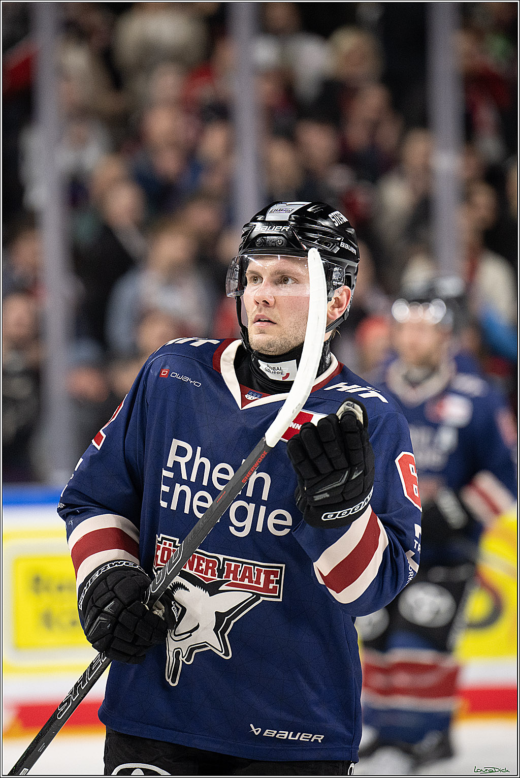 PENNY DEL; Koelner Haie- Augsburger Panther; Koeln, 05.01.2025