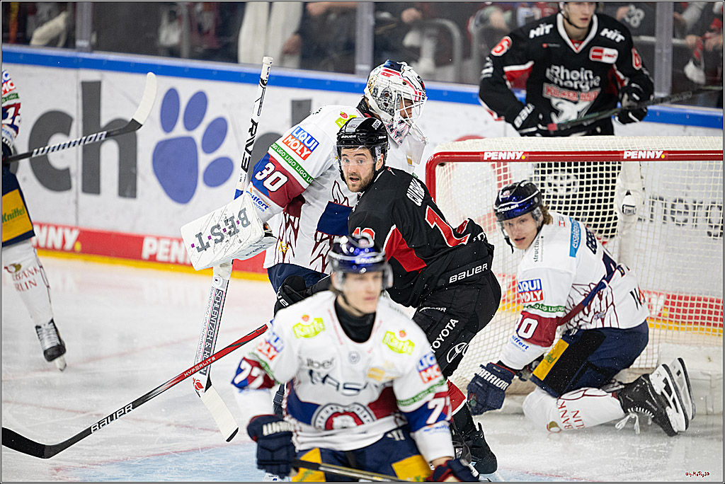 PENNY DEL 1; Kölner Haie - Eisbären Berlin; Köln, 07.01.2025