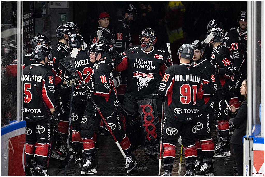 PENNY DEL 1; Kölner Haie - Eisbären Berlin; Köln, 07.01.2025