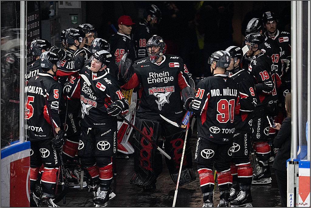 PENNY DEL 1; Kölner Haie - Eisbären Berlin; Köln, 07.01.2025