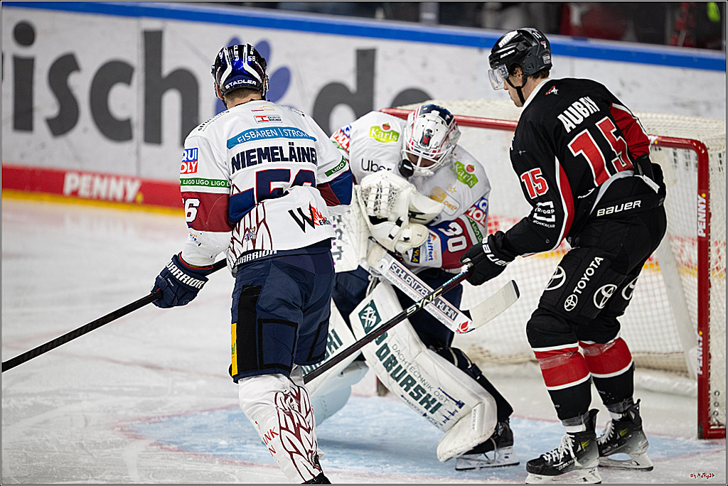 PENNY DEL 1; Kölner Haie - Eisbären Berlin; Köln, 07.01.2025