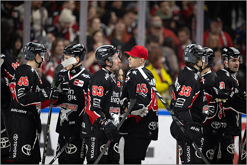 PENNY DEL 1; Kölner Haie - Eisbären Berlin; Köln, 07.01.2025