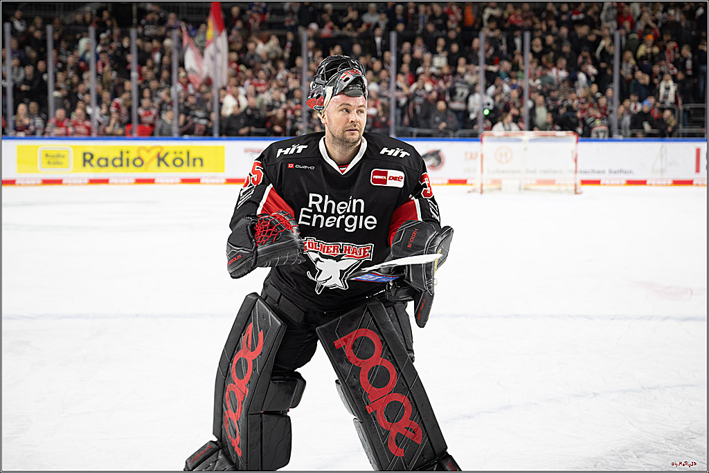 PENNY DEL 1; Kölner Haie - Eisbären Berlin; Köln, 07.01.2025