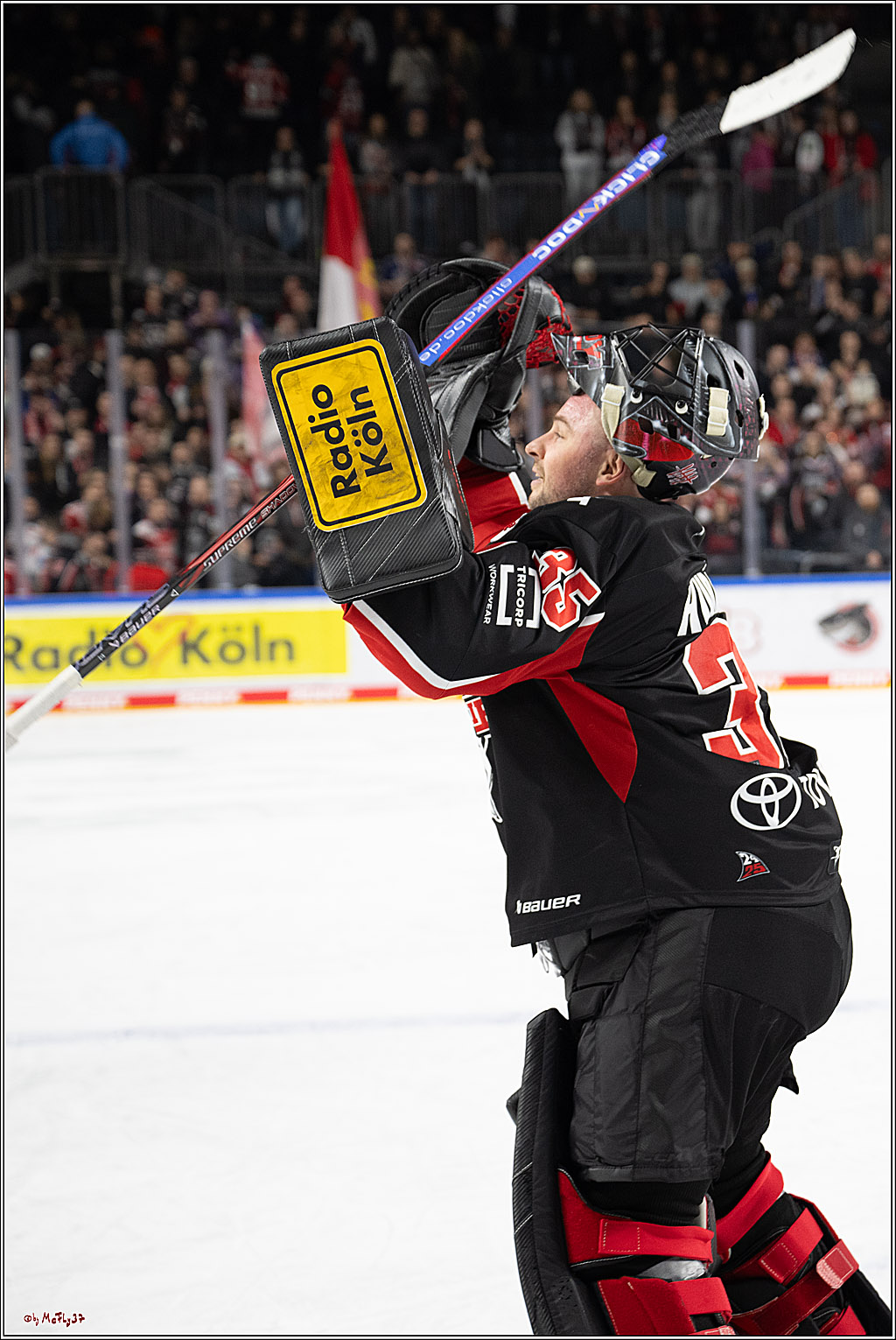 PENNY DEL 1; Kölner Haie - Eisbären Berlin; Köln, 07.01.2025