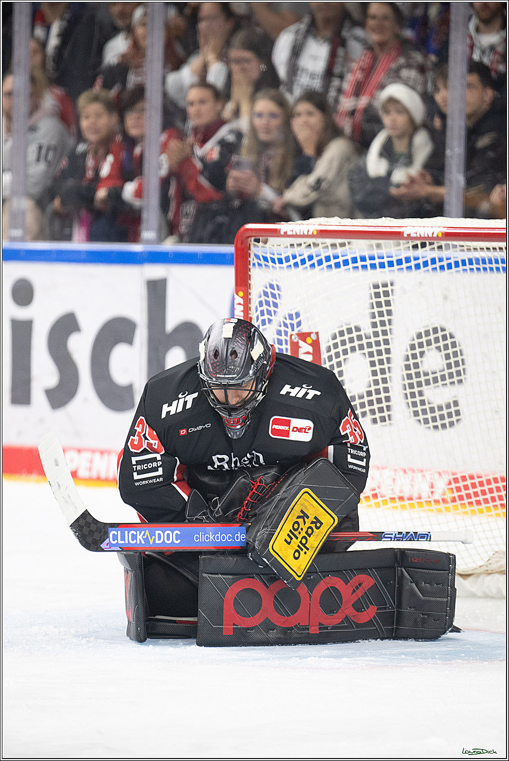 PENNY DEL; Koelner Haie- Eisbaeren Berlin; Koeln, 07.01.2025