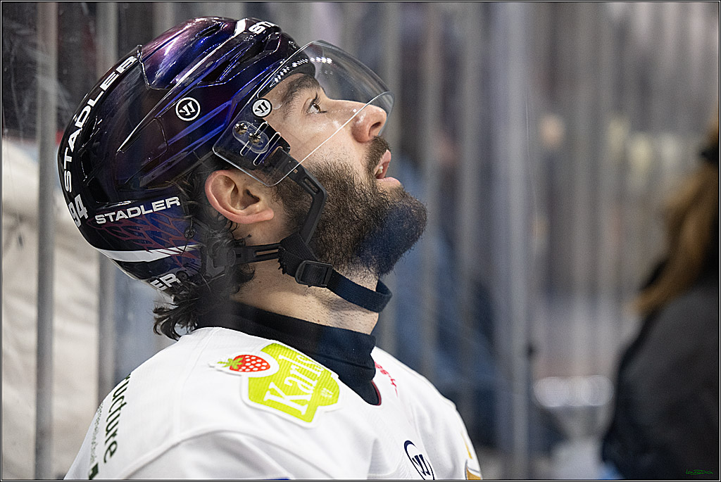 PENNY DEL; Koelner Haie- Eisbaeren Berlin; Koeln, 07.01.2025