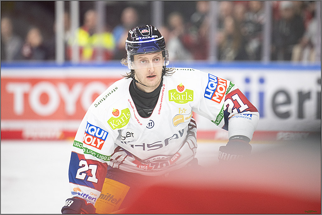 PENNY DEL; Koelner Haie- Eisbaeren Berlin; Koeln, 07.01.2025