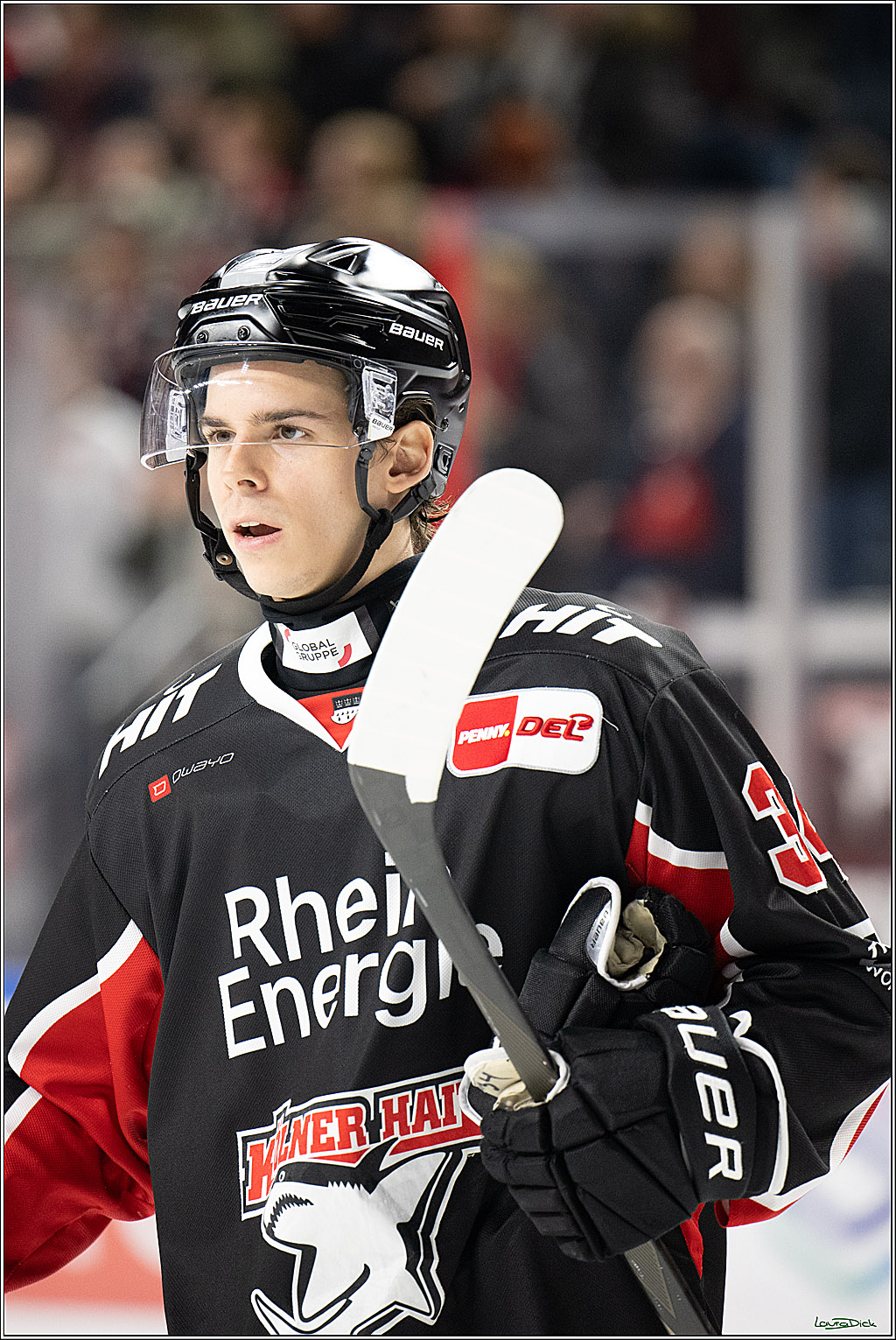 PENNY DEL; Koelner Haie- Eisbaeren Berlin; Koeln, 07.01.2025
