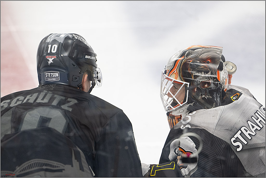 PENNY DEL 1; Kölner Haie - Grizzlys Wolfsburg; Köln, 10.01.2025