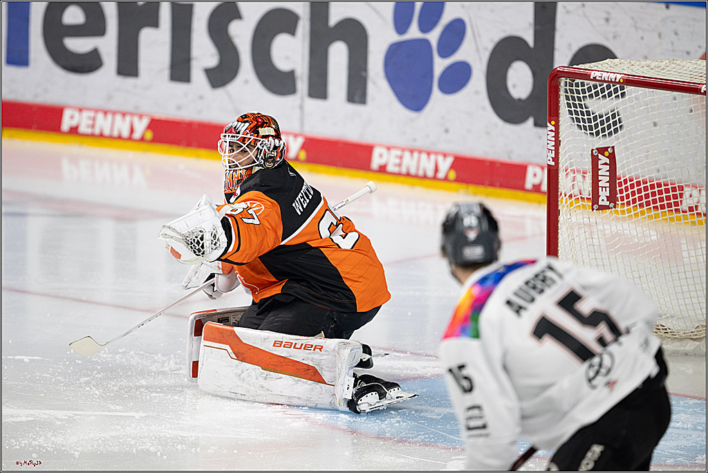 PENNY DEL 1; Kölner Haie - Grizzlys Wolfsburg; Köln, 10.01.2025