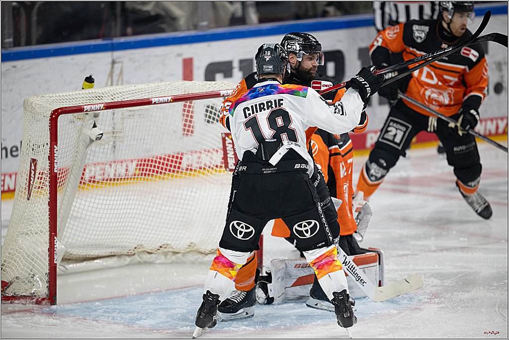 PENNY DEL 1; Kölner Haie - Grizzlys Wolfsburg; Köln, 10.01.2025