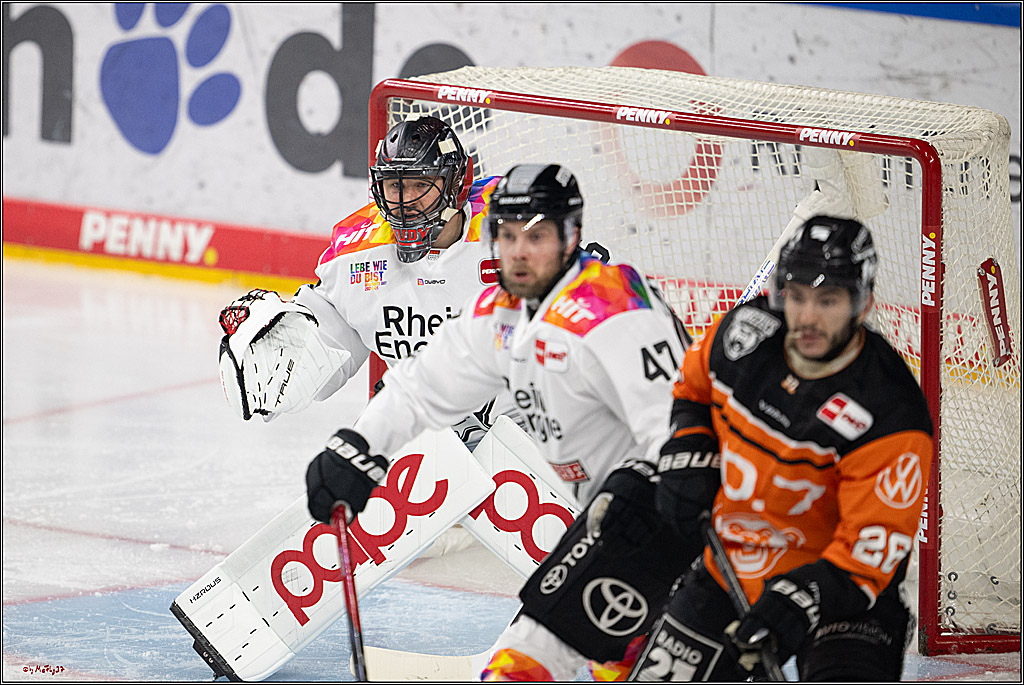 PENNY DEL 1; Kölner Haie - Grizzlys Wolfsburg; Köln, 10.01.2025