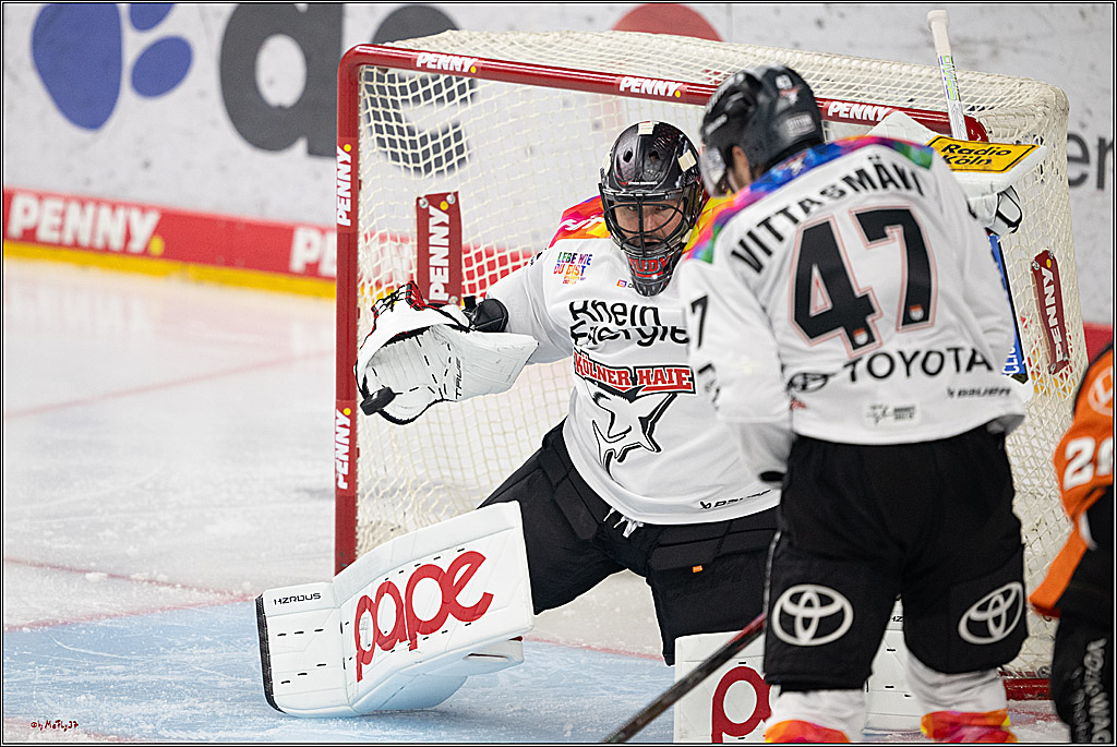 PENNY DEL 1; Kölner Haie - Grizzlys Wolfsburg; Köln, 10.01.2025