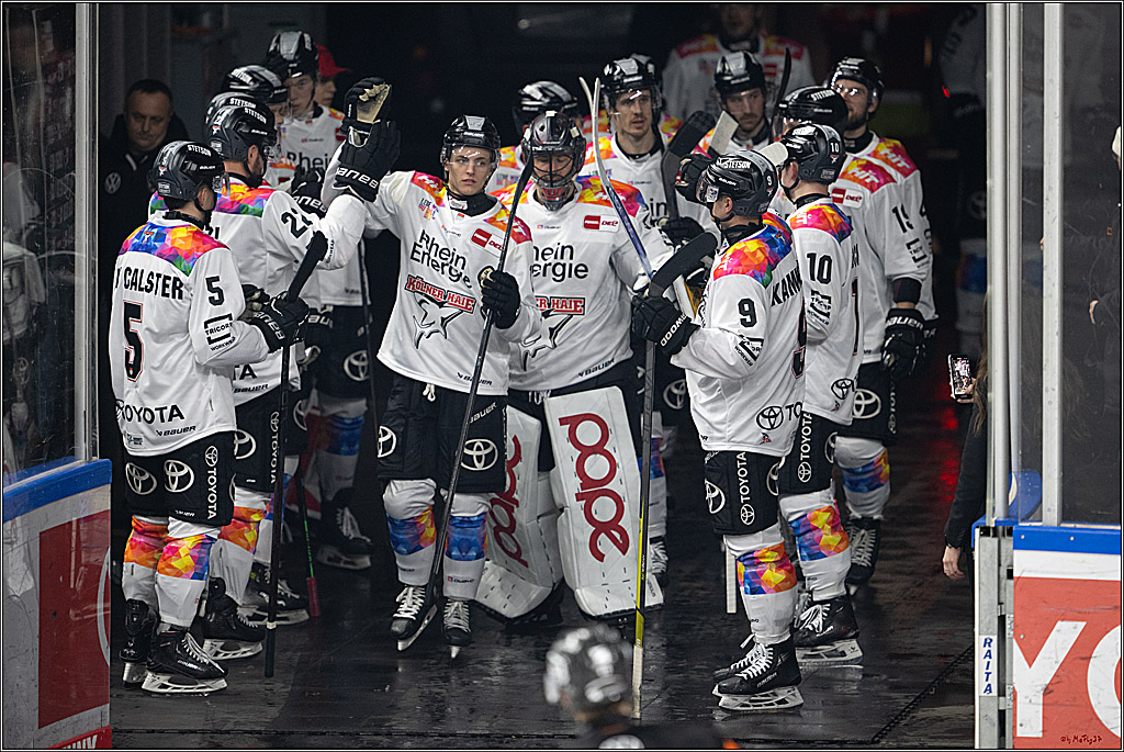 PENNY DEL 1; Kölner Haie - Grizzlys Wolfsburg; Köln, 10.01.2025