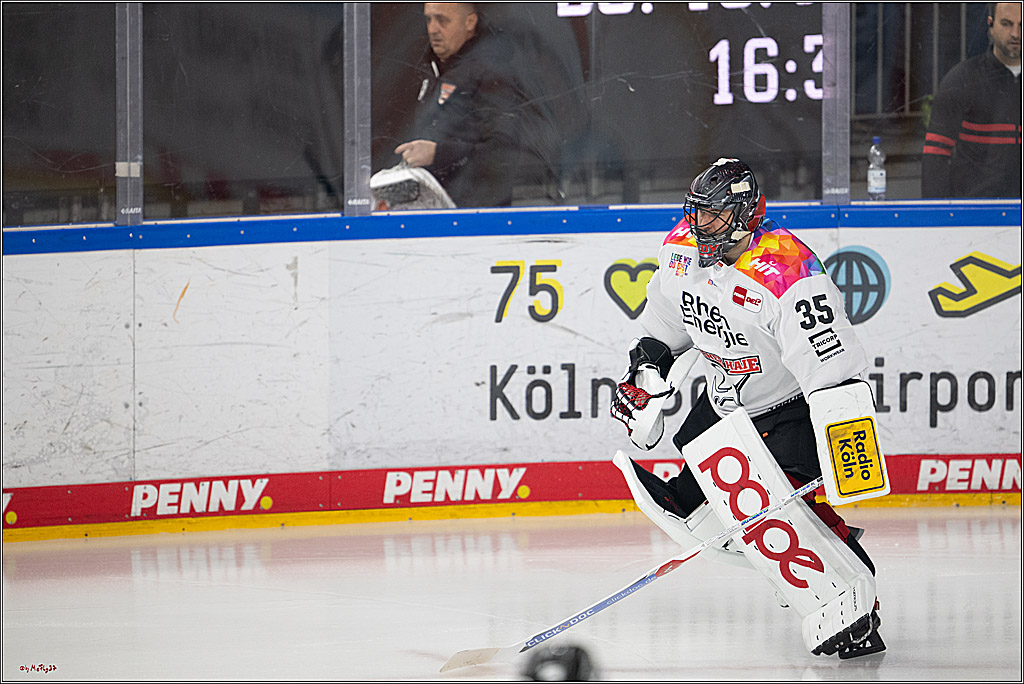 PENNY DEL 1; Kölner Haie - Grizzlys Wolfsburg; Köln, 10.01.2025