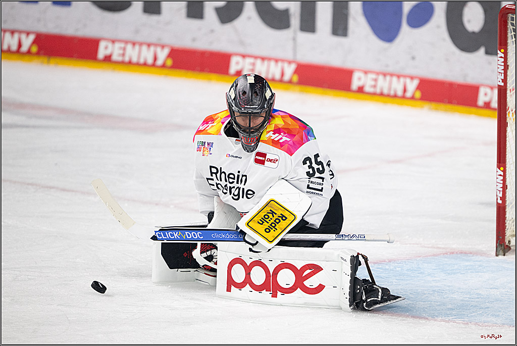 PENNY DEL 1; Kölner Haie - Grizzlys Wolfsburg; Köln, 10.01.2025