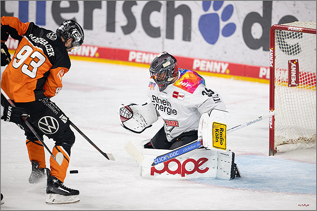 PENNY DEL 1; Kölner Haie - Grizzlys Wolfsburg; Köln, 10.01.2025