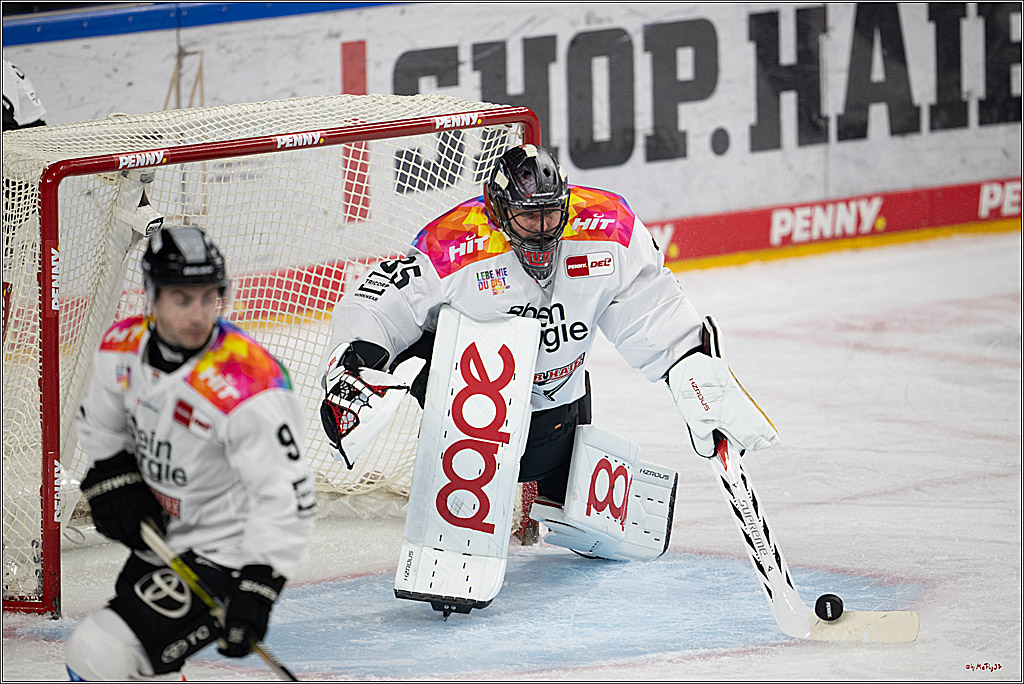 PENNY DEL 1; Kölner Haie - Grizzlys Wolfsburg; Köln, 10.01.2025