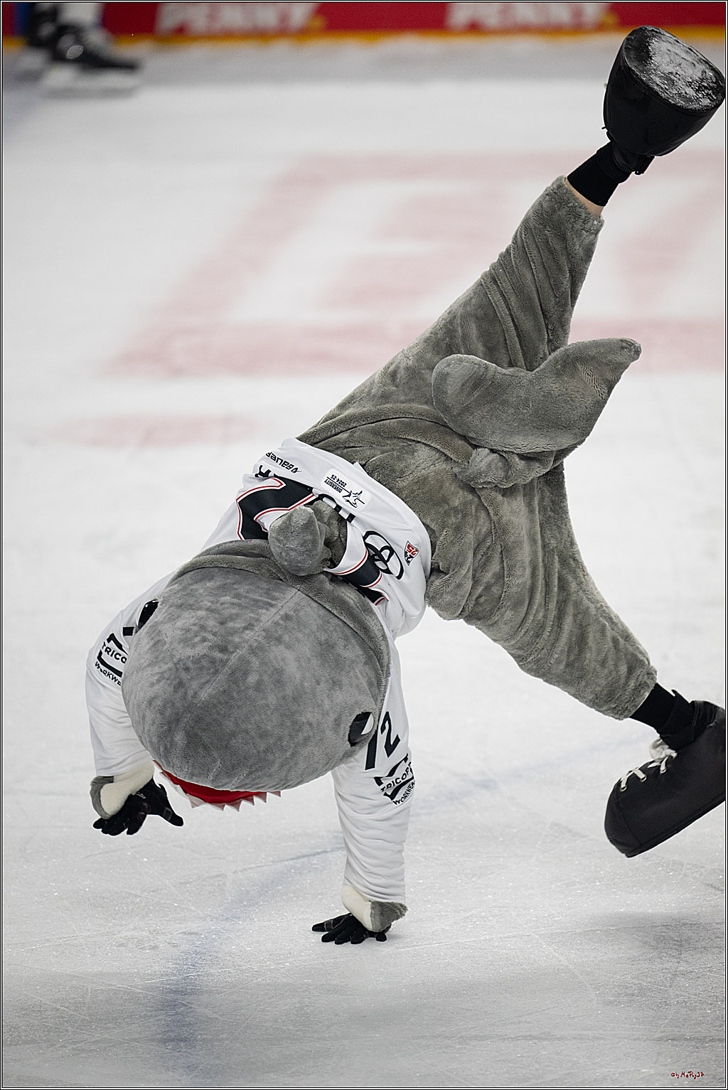 PENNY DEL 1; Kölner Haie - Grizzlys Wolfsburg; Köln, 10.01.2025